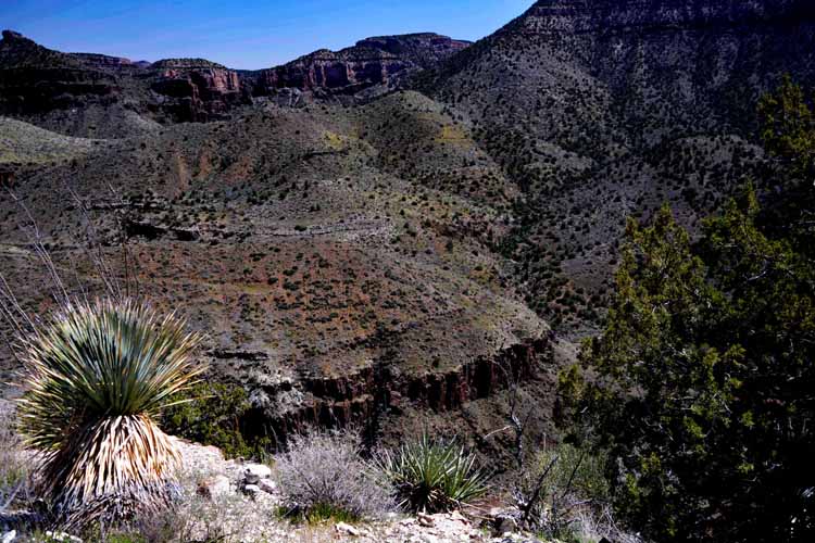 salt river canyon